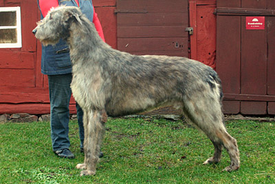 Kevinsson